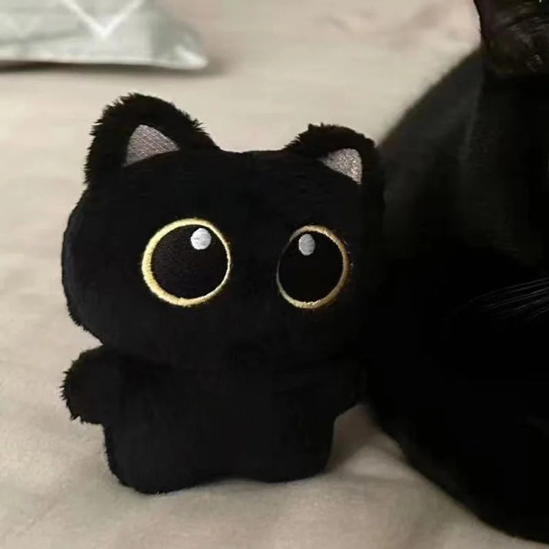 Nori & Fih